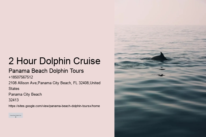 Dolphin Snorkeling Cruise
