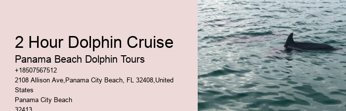 Do Dolphins Befriend Humans