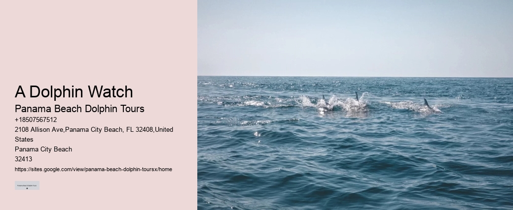 Airboat Tours Panama City Beach