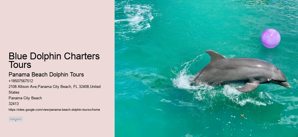 Blue Dolphin Charters Tours