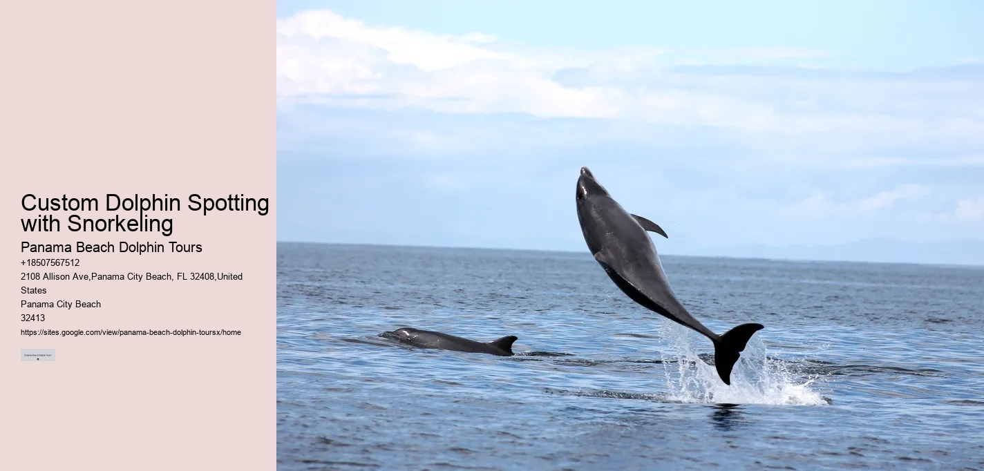 Rudee Flipper Dolphin Tours Virginia Beach