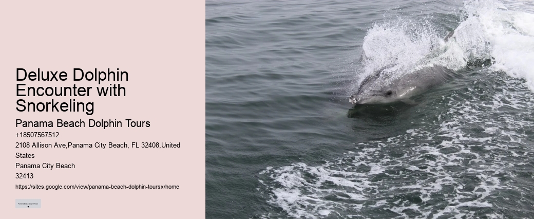 Split Memorable Dolphin And Snorkeling Adventures