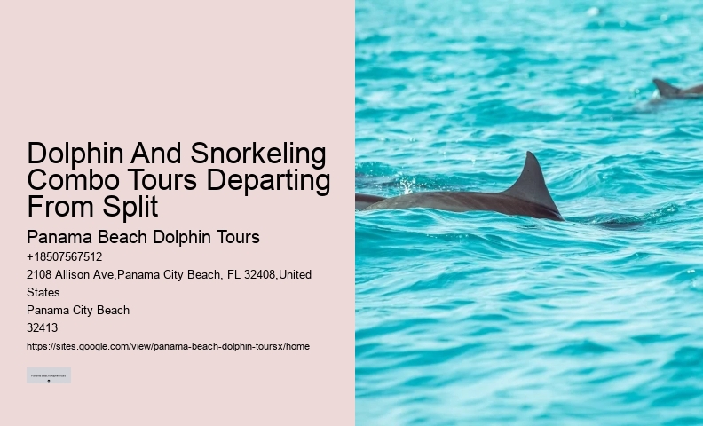 9 Great Dolphin Tours In Panama City Beach