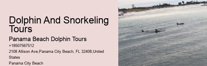 What Does It Mean When Dolphins Come Close To Shore