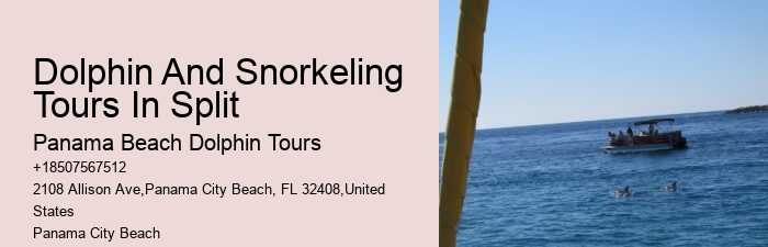 Split Boat Tours With Dolphin Watching