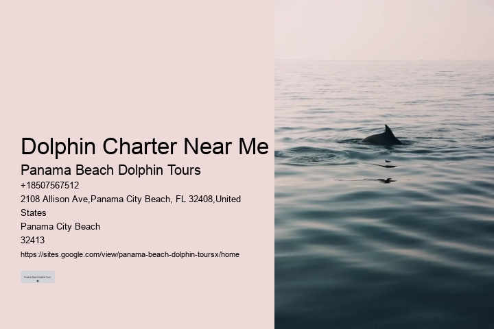 Individual Dolphin Watching and Snorkeling Trips