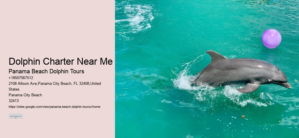 Dolphin Charter Near Me