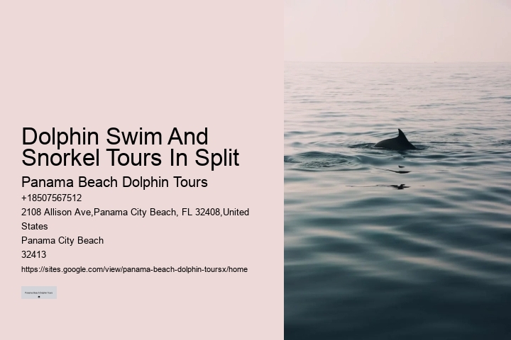 Catamaran Dolphin Tour Panama City Beach