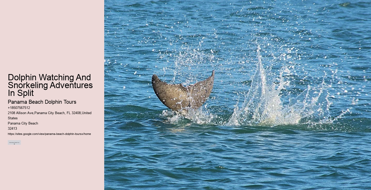 Panama City Beach marine life tours