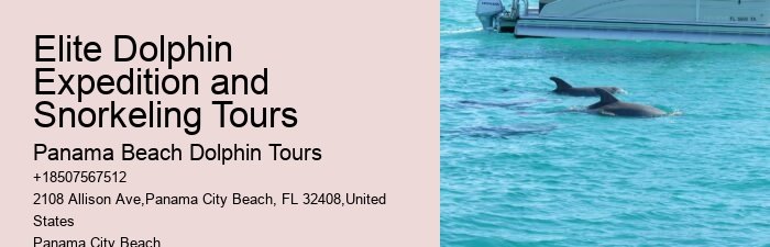 Panama City Beach Dolphin Adventure Trips