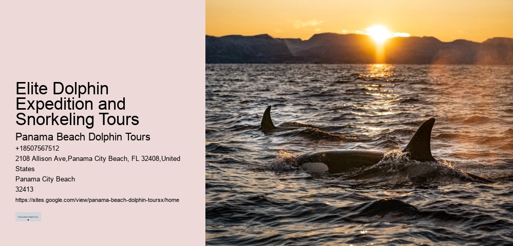 Do Dolphins Really Save Humans