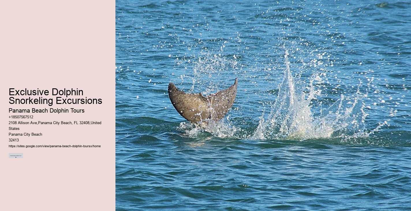 What is the cancellation policy for dolphin tours in Panama City Beach