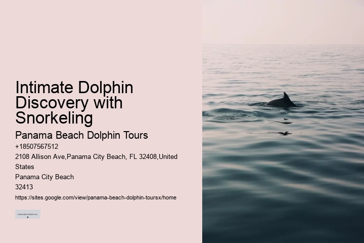 Dolphin trips in Panama City Beach