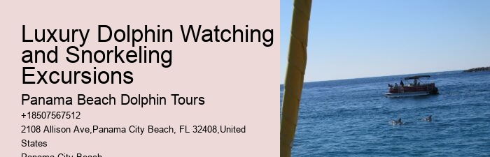 Luxury Dolphin Safari and Snorkeling Tours