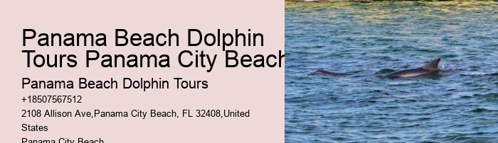How Much Does It Cost To Swim With Dolphins In Florida