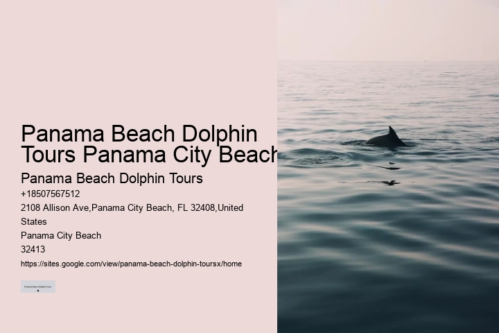 Panama City Beach Boat Tours To Shell Island