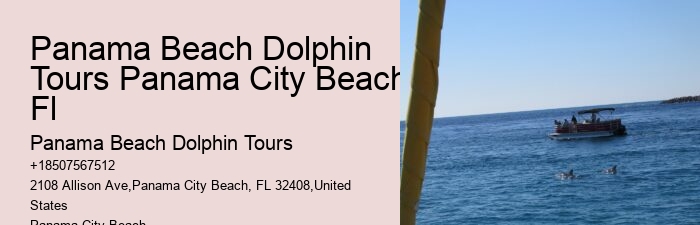 30a Dolphin Tours