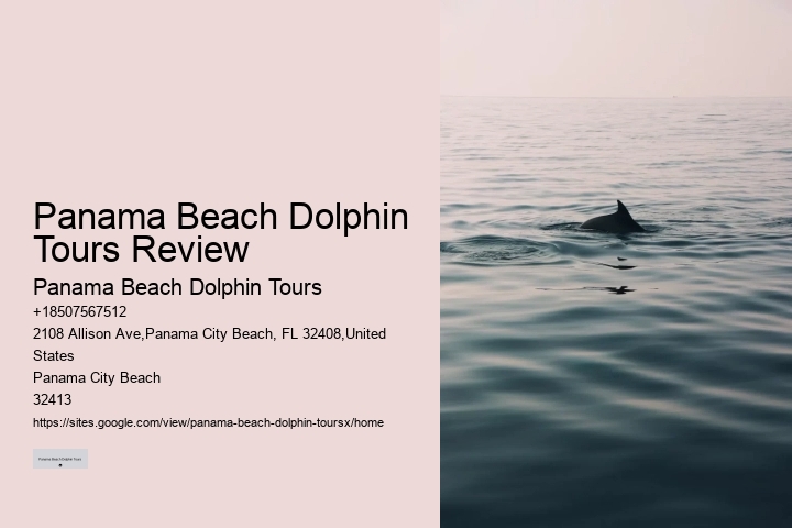 Guided dolphin tours in Panama City Beach