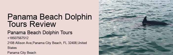 Custom Dolphin Encounter and Snorkeling