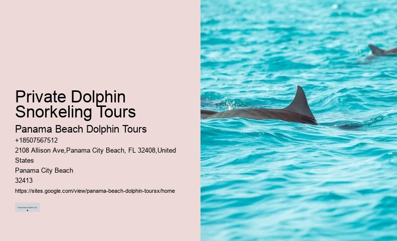 Tailored Dolphin Watching and Snorkeling Expeditions