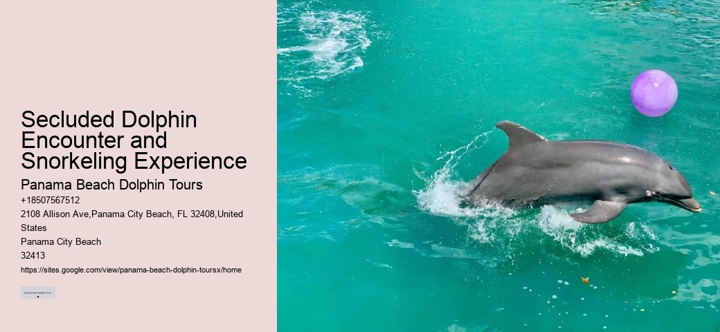 Secluded Dolphin Encounter and Snorkeling Experience