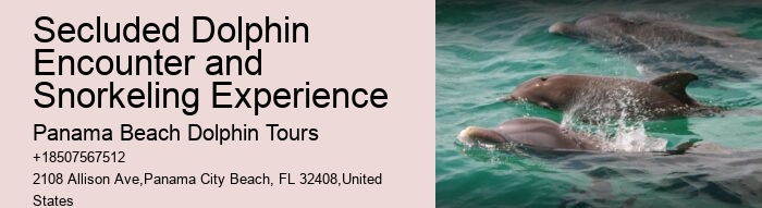 Snorkeling Safaris With Dolphin Watching In Split