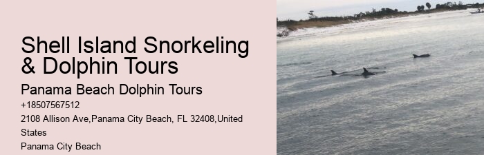 Dolphin sightseeing adventures in Panama City Beach