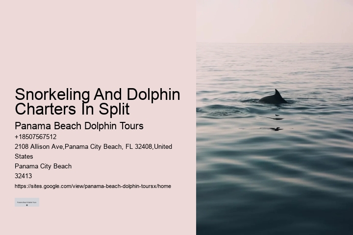 Split Adventurous Dolphin And Snorkeling Excursions