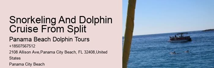 PCB Dolphin Sightseeing Tours
