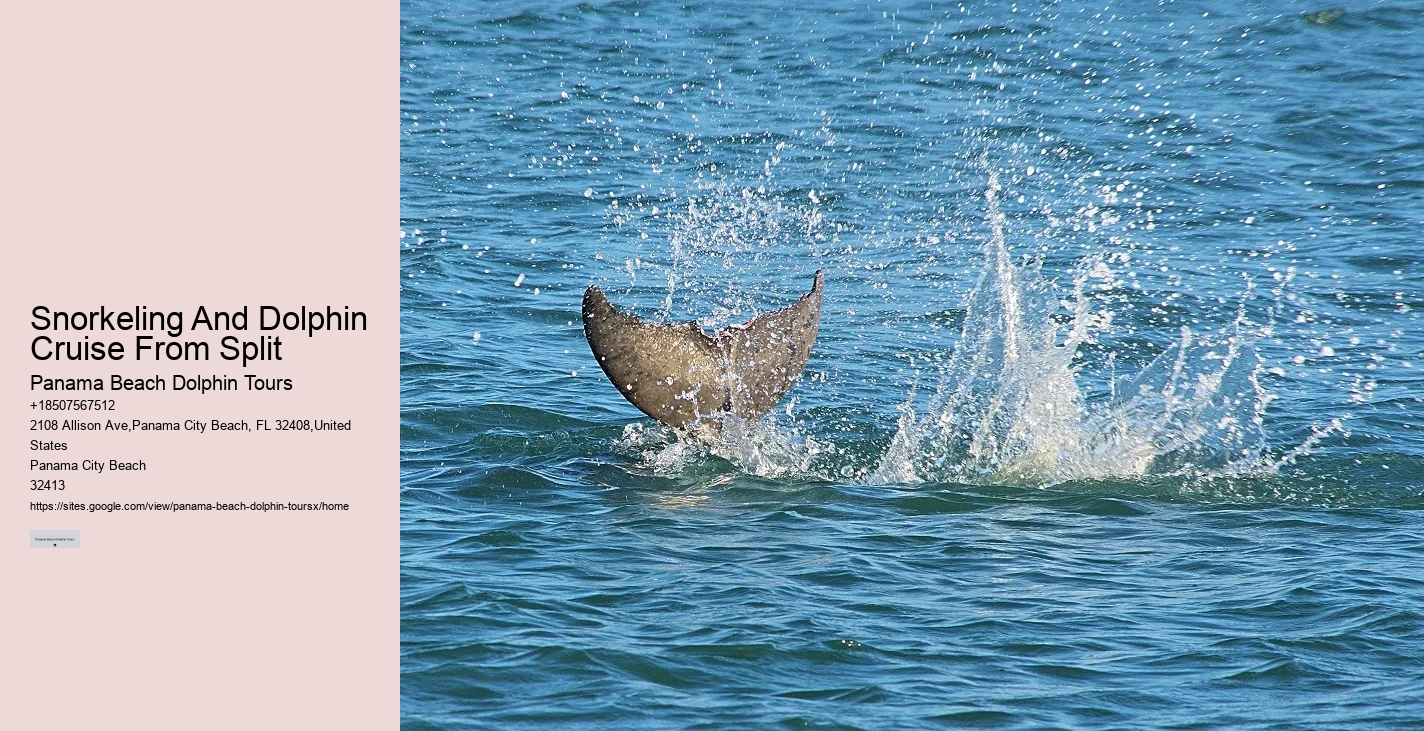 Split Sunset Dolphin Cruises With Snorkeling