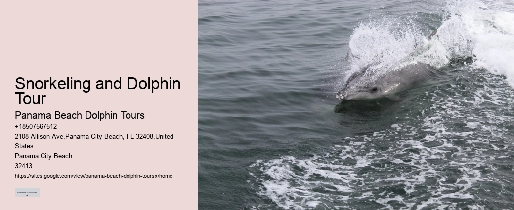 How Long Does The Dolphin Cruise Last