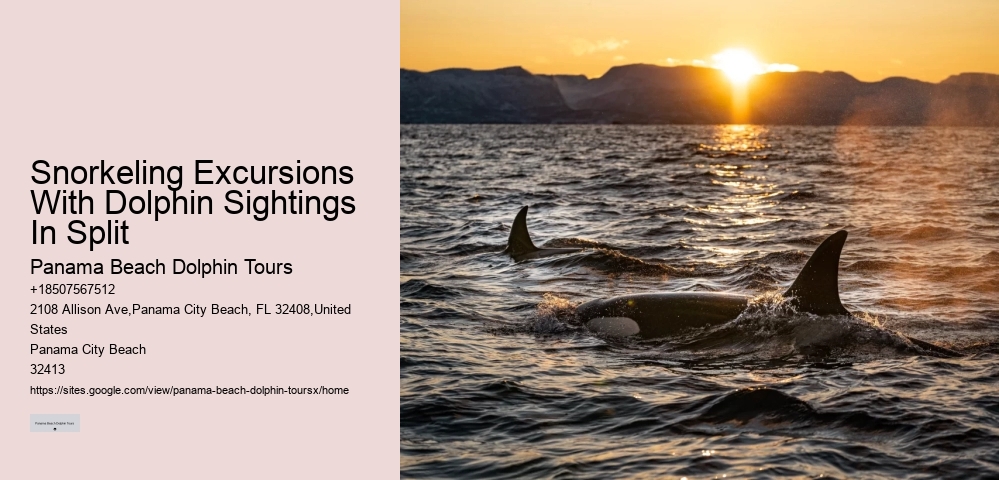 This Is How Dolphins 'see' Humans With Echolocation