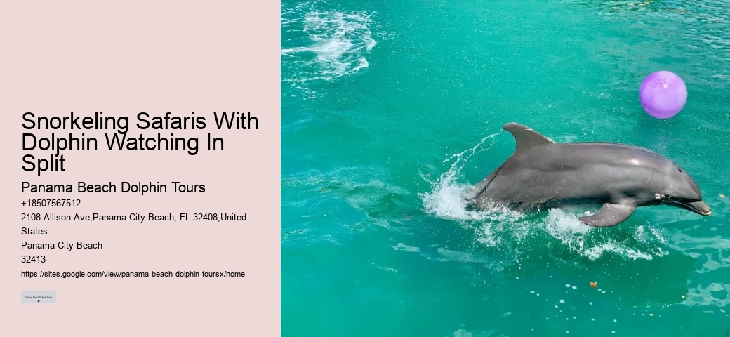 Snorkeling Safaris With Dolphin Watching In Split