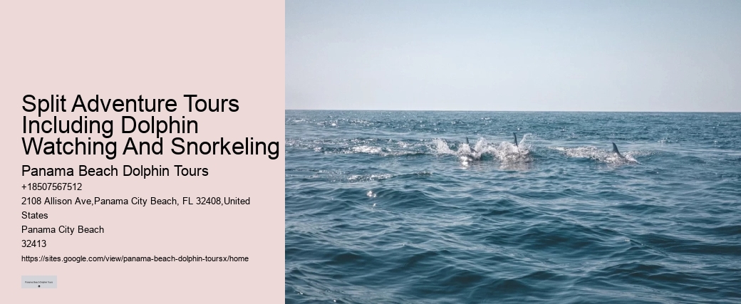 2 Hour Private Dolphin Tour