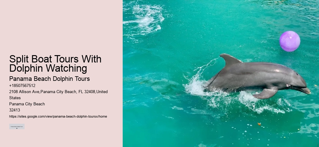 Split Boat Tours With Dolphin Watching