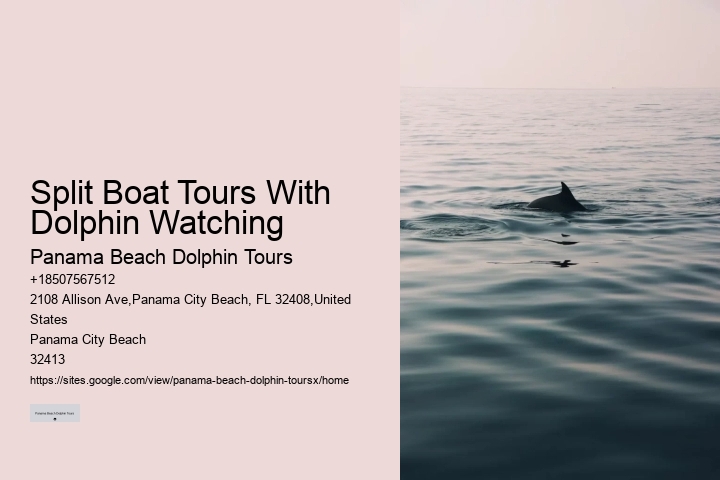 PCB Dolphin Spotting Tours