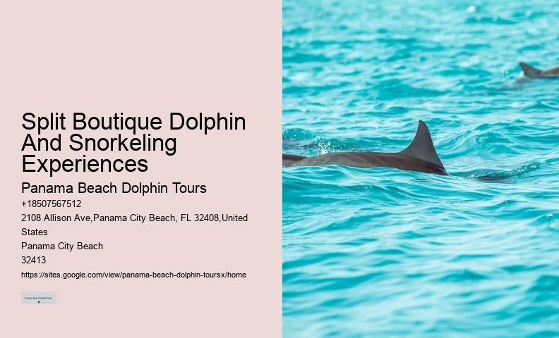 Panama City Dolphin Seafari Tours