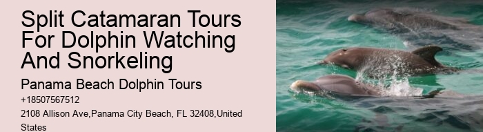 Split Exclusive Charters For Dolphin And Snorkeling Adventures
