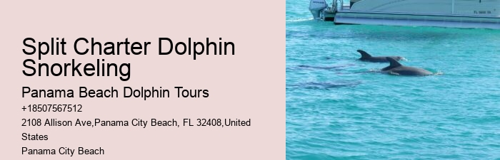 Split Ultimate Dolphin And Snorkeling Expeditions