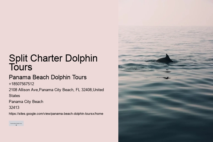 Sunset Dolphin Tours Panama City Beach