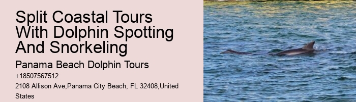 Do We Need Water Shoes To Swim With The Dolphins At Ocean World