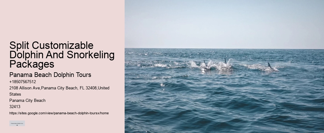 Do Dolphins Use Scent