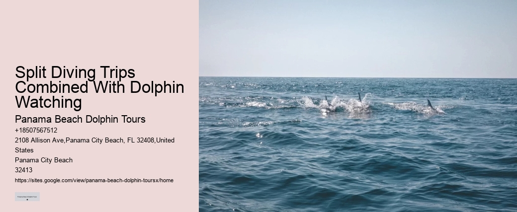 Split Vip Snorkeling And Dolphin Tours