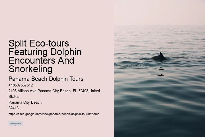 Secluded Dolphin Encounter and Snorkeling Trips