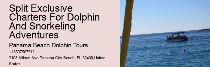 Split Educational Dolphin And Snorkeling Tours