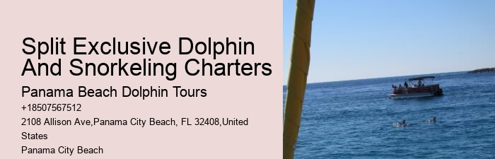Panama City Dolphin Seafari Tours Panama City Beach Fl