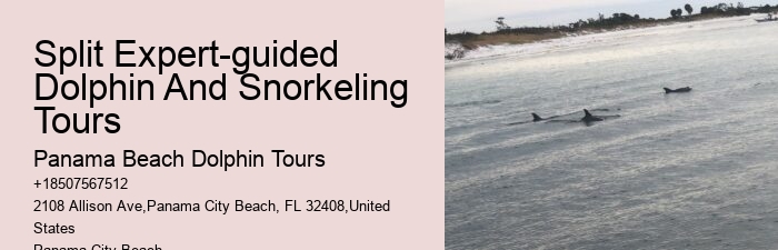 Split Educational Dolphin And Snorkeling Cruises