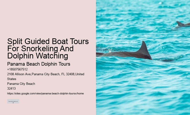 Dolphin Quest Tours