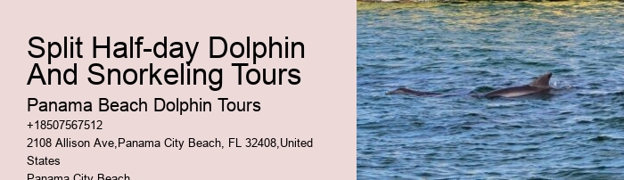 Boat Tours Panama City Beach