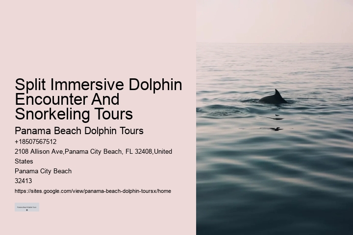 Dolphin Tours In Panama City Florida